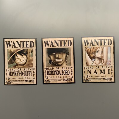 Official Luffy + Zoro + Nami Wanted Poster (Mugiwara Store