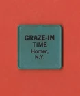 GRAZE-IN TIME HOMER N.Y. PLASTIC TOKEN GREEN
