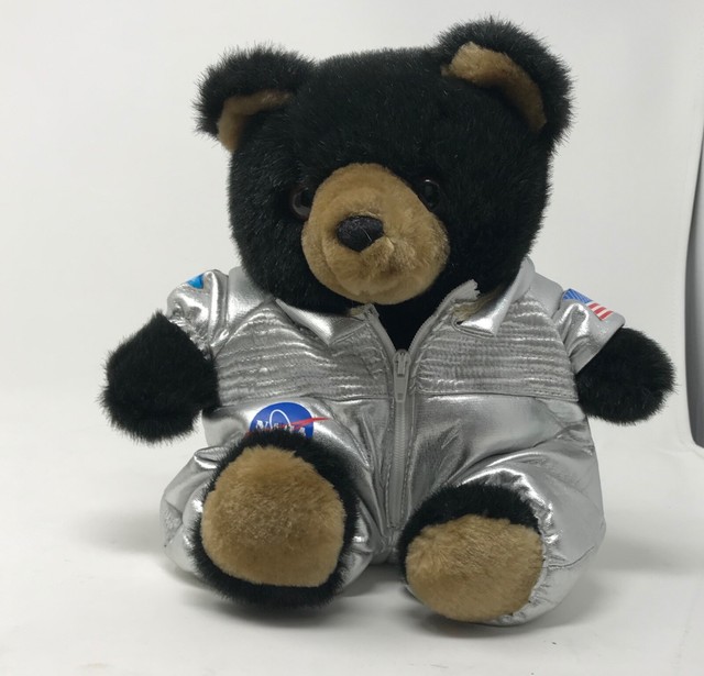 teddy bear space suit