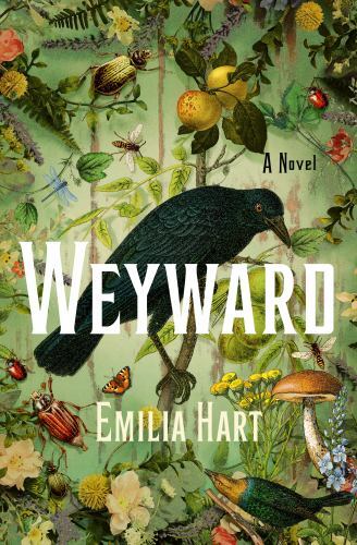 Weyward : A Novel by Emilia Hart (2023, Hardcover)