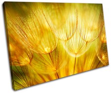 Flower Floral SINGLE CANVAS WALL ART Picture Print VA