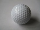 PGA National Logo Golf Ball New Pinnacle West Palm Beach Florida Honda Classic — photo 6