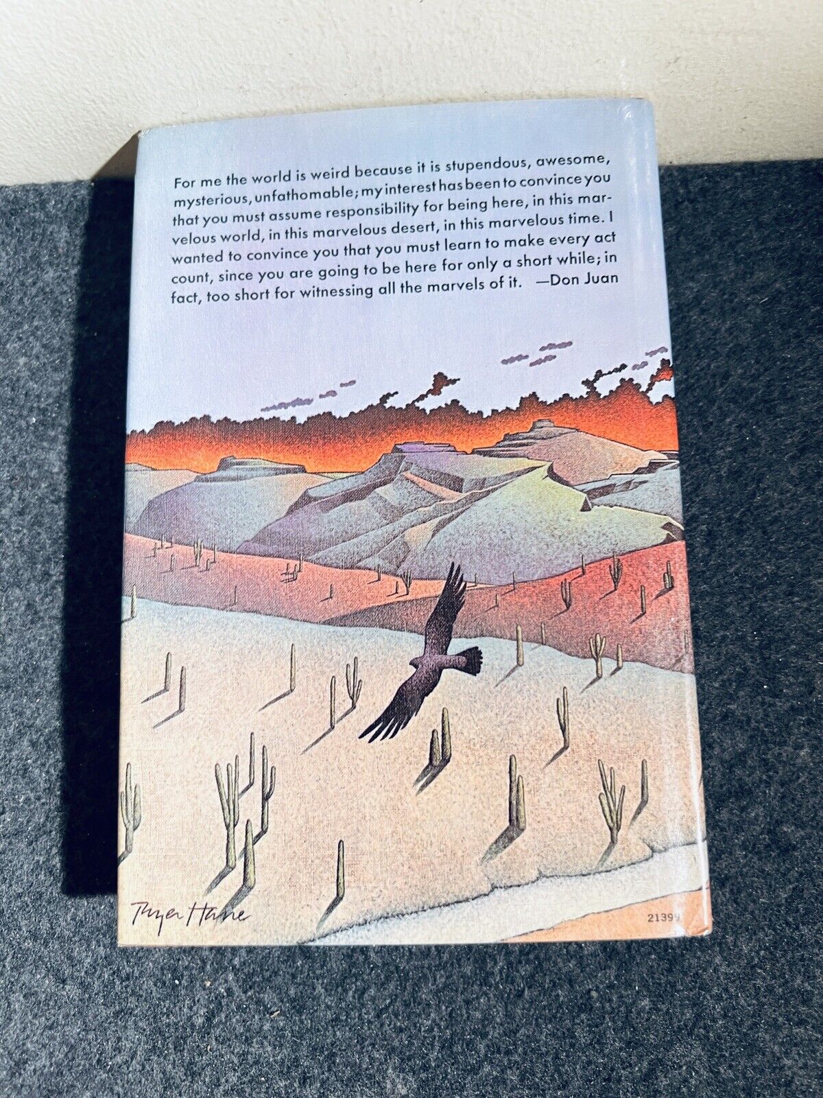Bild 11 von 11