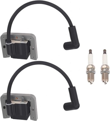 Bobina Di Accensione 24 584 45-S 2458401-S 2458404-S Compatibile - Foto 13