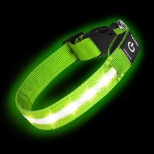 Super Bright Waterproof Adjustable LED Dog Collar USB-C Rechargeable Green Large