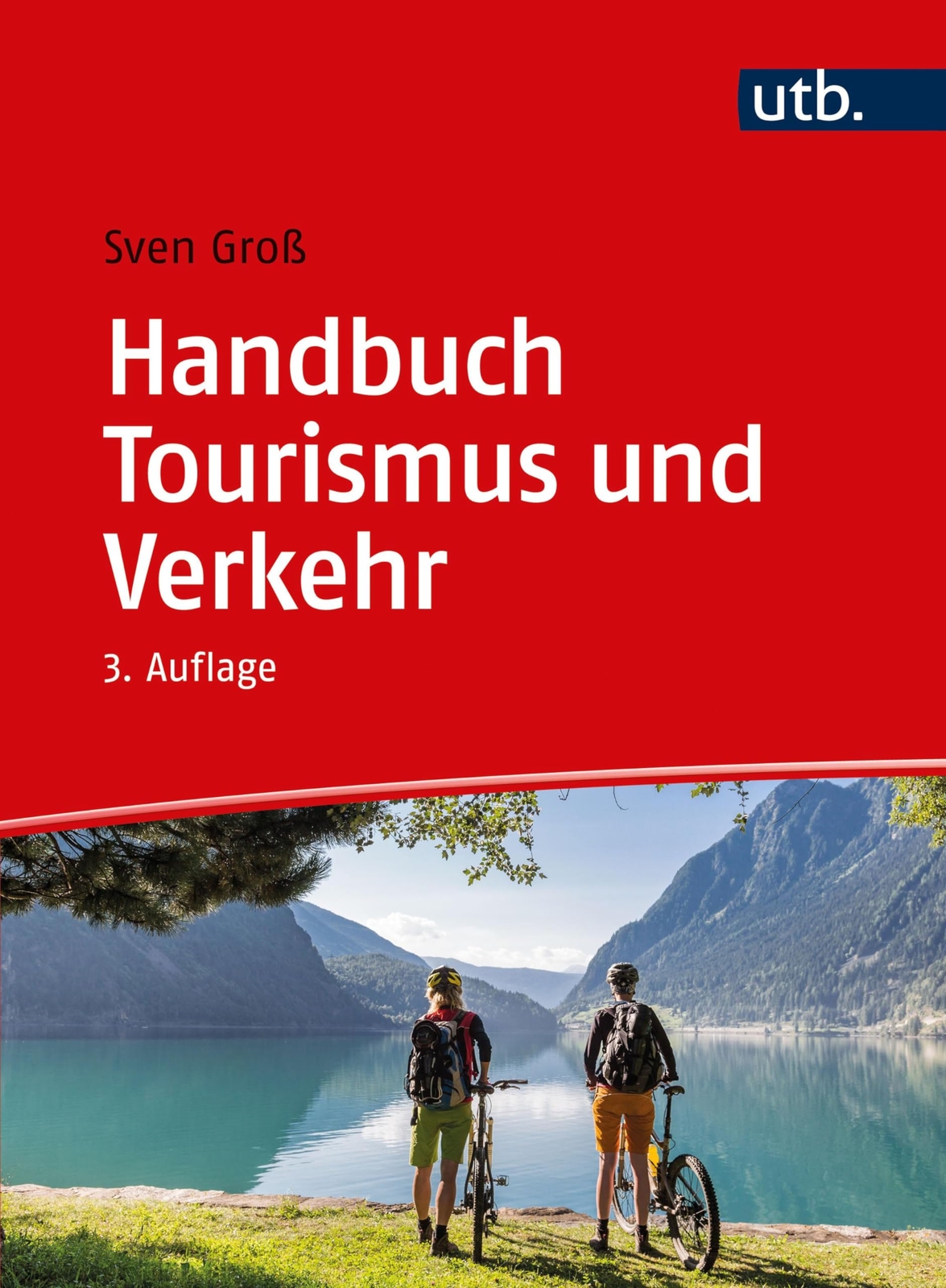 Sven Groß Handbuch Tourismus und Verkehr: Verkehrsunternehmen, Strat (Tascabile)