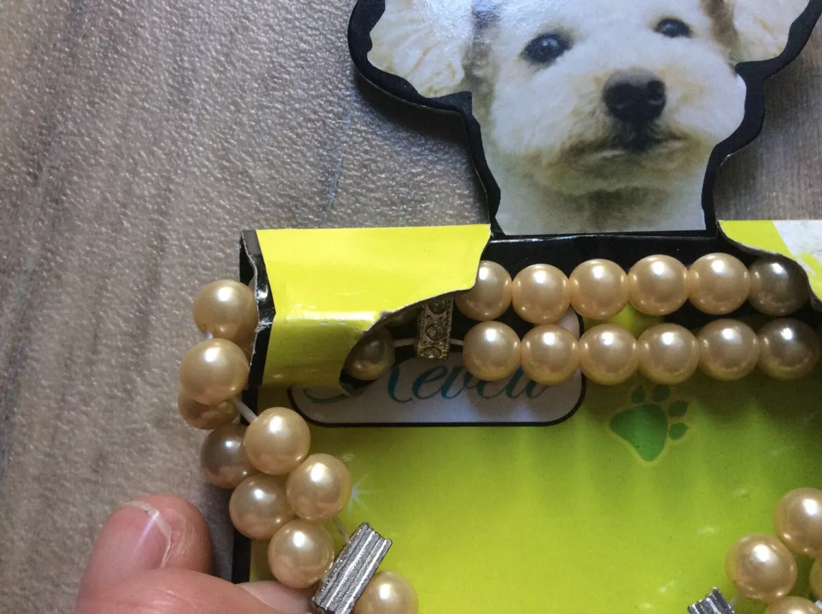 Cheap 2024 dog accessories