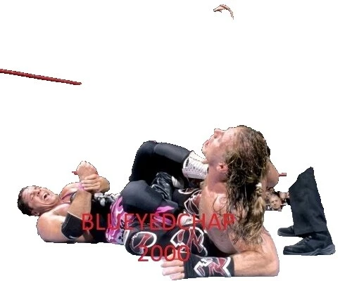Shawn Michaels WWF Wrestling Photos