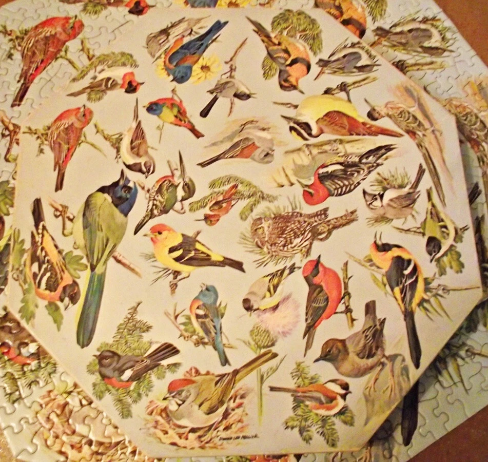 COMPLETE Springbok Octagon Okta-Puzzle Jigsaw 1968 Western Birds Malick PZL 8015 - Image 3 of 4