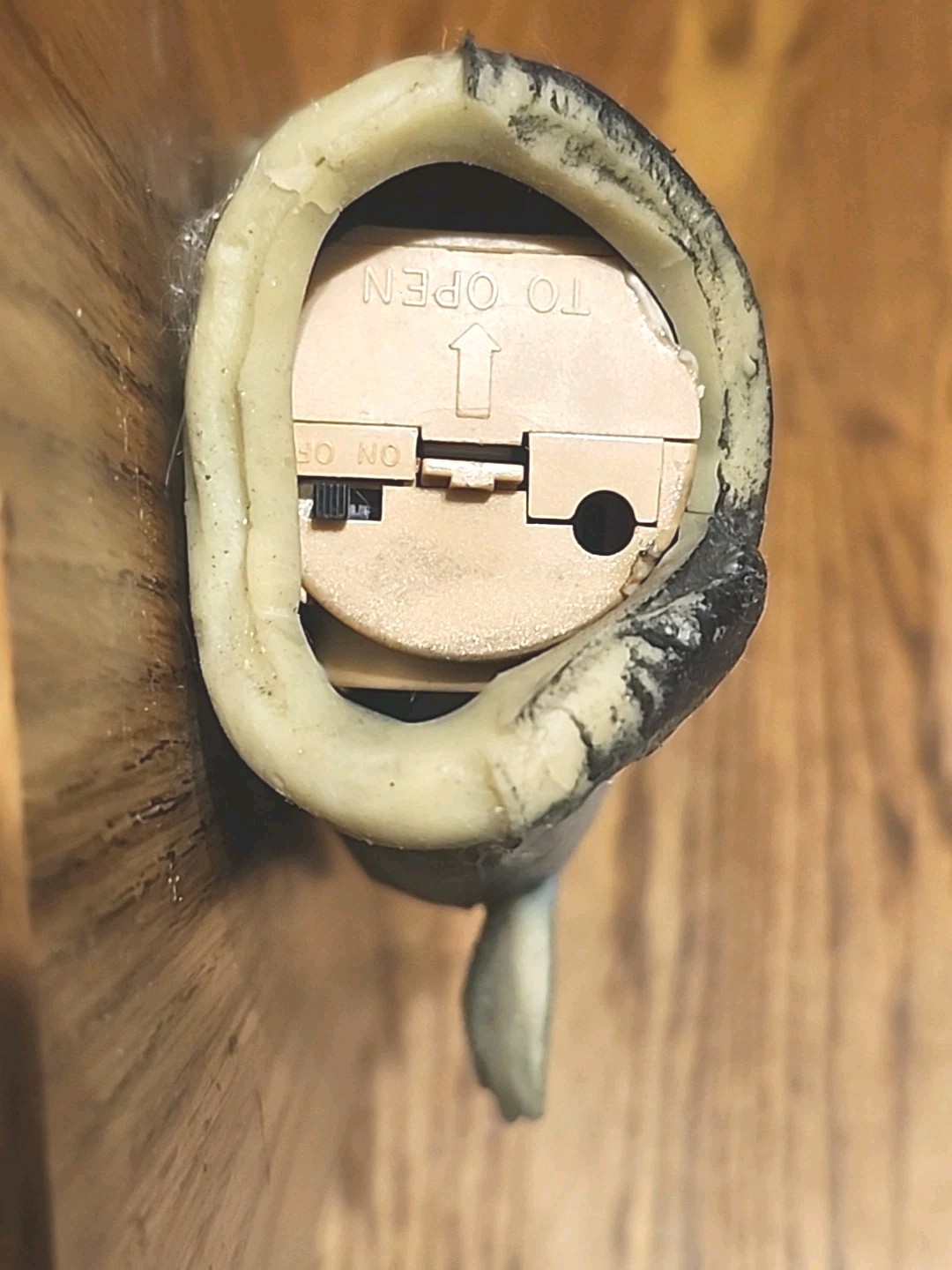 Vintage Sam's Large Mouth Bass Novelty Talking Fish 