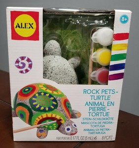 alex rock pet turtle