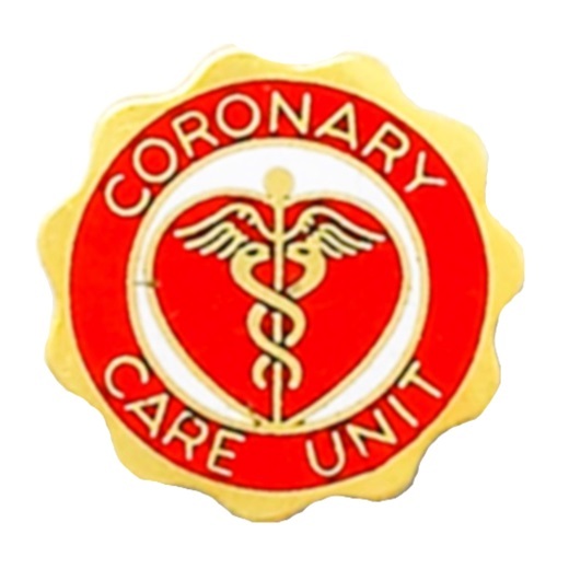 Coronary Care Unit Pin CCU Medical Graduation Professional Coronary Care Unit Pin CCU Medical Graduation Professional