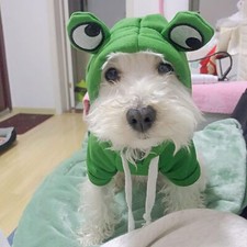 Pet Hoodie Sweater Coat Fancy Frog Costume Halloween Dogs Cats Cosplay Clothes