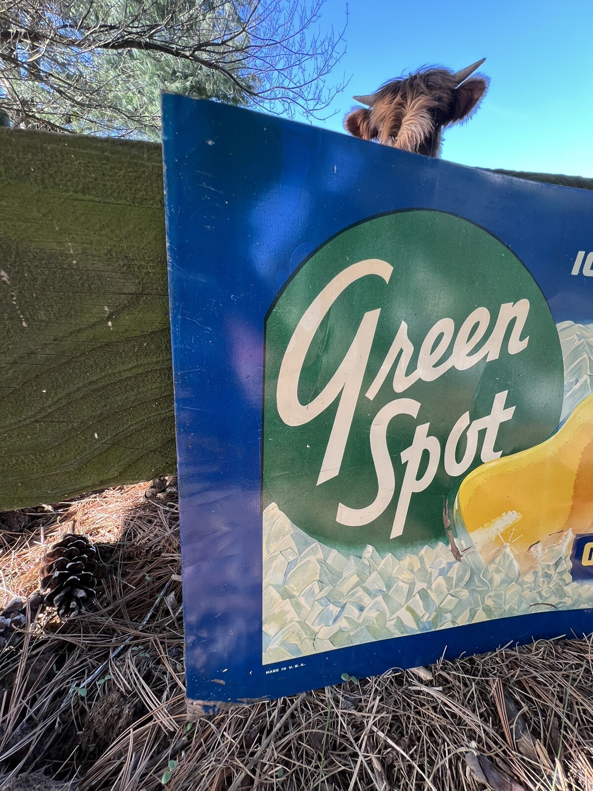 Vintage 20” X 12” Green Spot Tin Litho Donaldson Art Sign Company