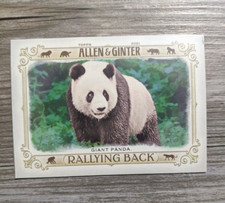2021 Topps Baseball Allen & Ginter Rallying Back # RB-2 Giant Panda