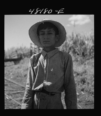 Photo:Rio Piedras Puerto Rico 1942 Sugar Cane Field Farm Boy with Lunch