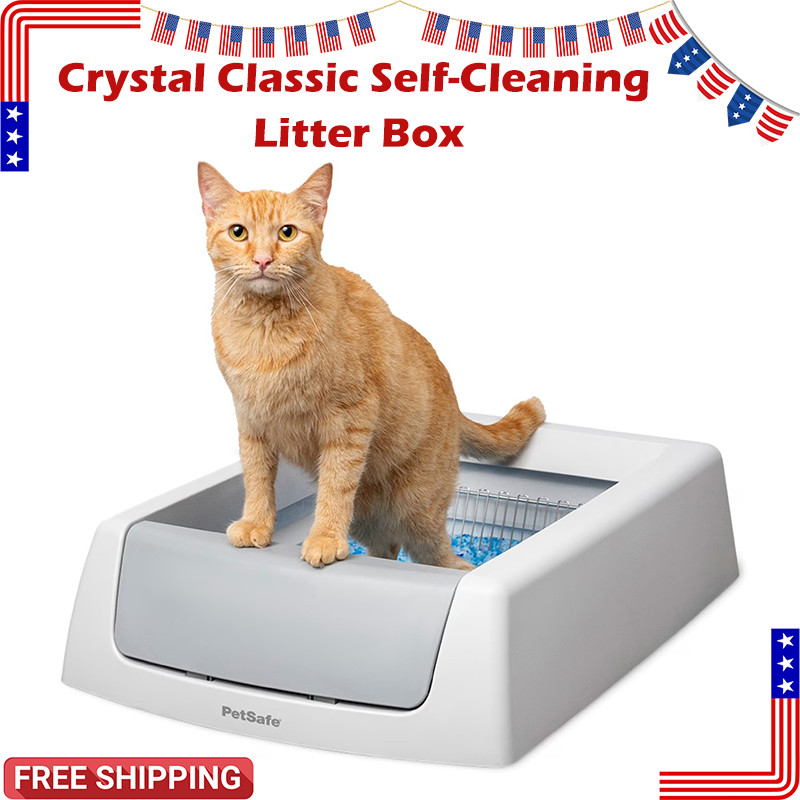 With 1 Disposable Refill Tray Large