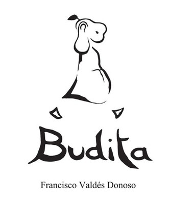 Budita by Francisco Vald?s Donoso (Spanish) Hardcover Book