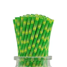 Green Bamboo Printed Paper Straws 100 Counts Disposable Biodegradable Bamboo Pat