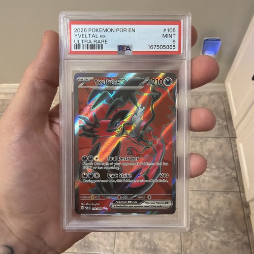 Yveltal ex graded PSA 9 for sale on eBay