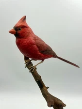 Beautiful Life size 8” Male Cardinal Red Bird Carved On Branch wood Base Signed