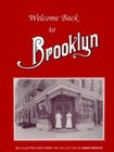 Welcome Back to Brooklyn by Brian Merlis and Oscar Israelowitz (1993, Hardcover)