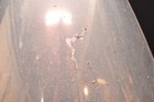Bild 8 von 21