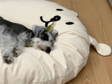 Cute and Soft Pet Bed Removable and machine washable