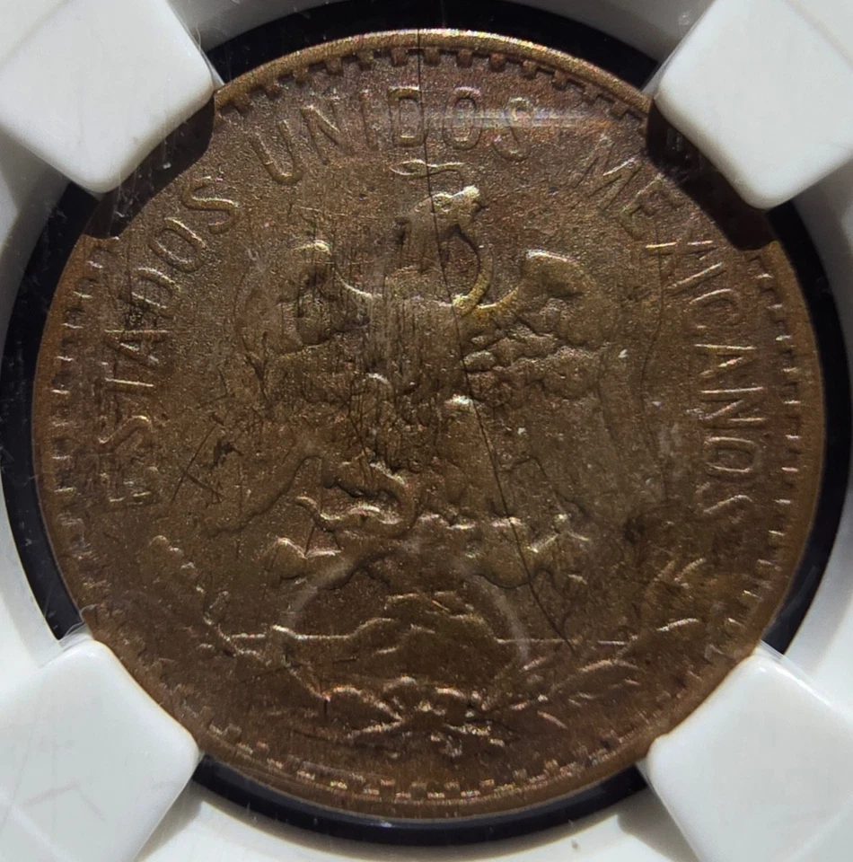1929 Mexico 2 Centavos  NGC FINE DETAILS KM 419 (A017) - Image 3 of 4