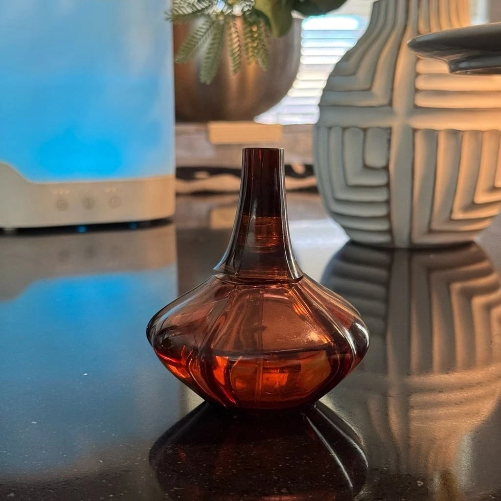 Calvin Klein Secret Obsession Eau de Parfum for Women for sale | eBay