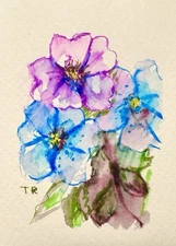 ACEO Watercolor Forget-me-nots ORIGINAL Art ATC Painting Flower Floral 2.5x3.5