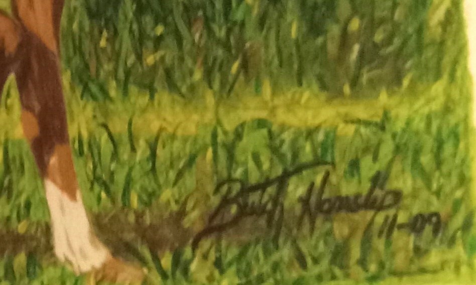 Picture 5 of 8