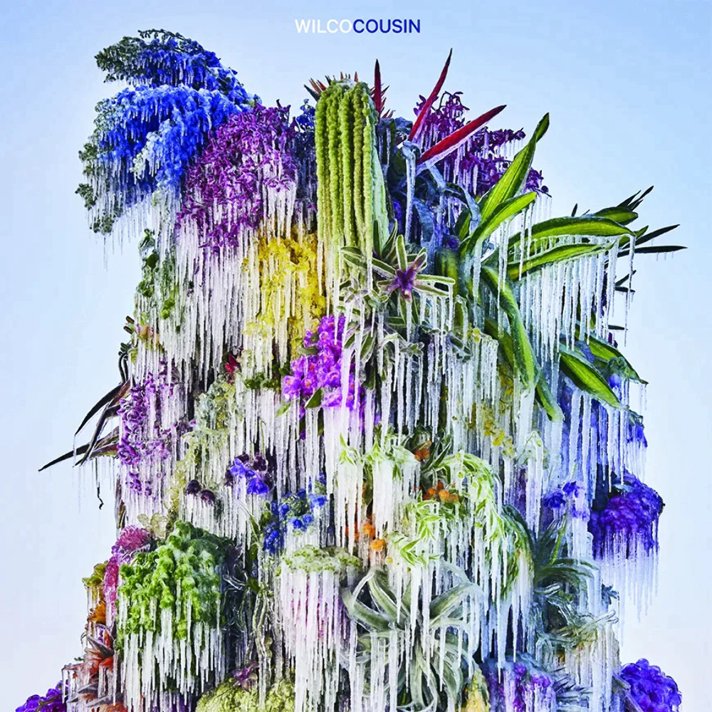 Новый виниловый альбом Wilco - Cousin в запечатанном виде