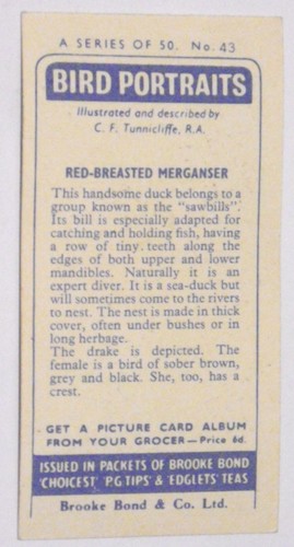 Tarjetas de té Brooke Bond 1957 retratos de aves elige el tuyo en la caja desplegable - Imagen 88 de 102