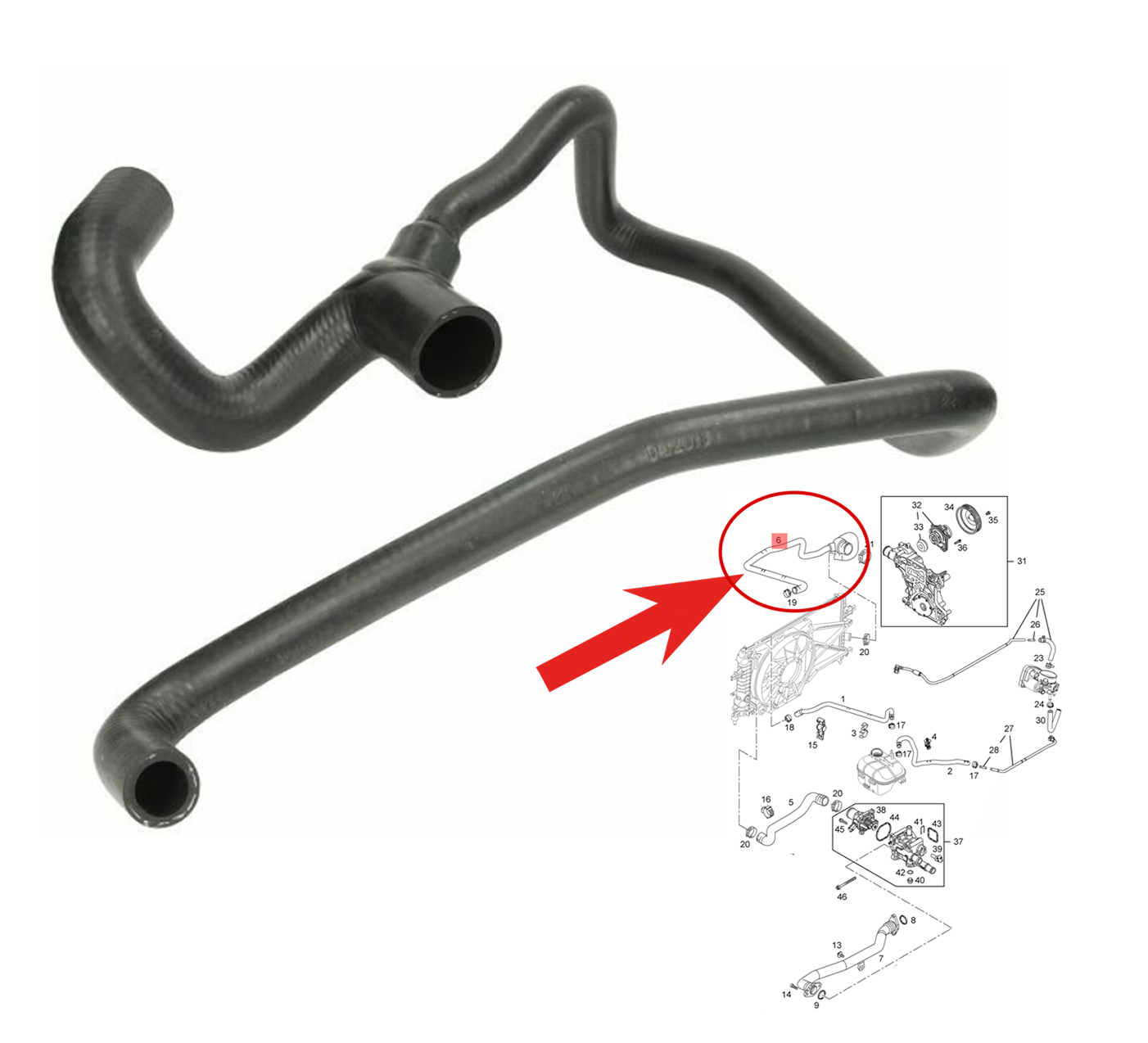 Radiator Outlet Hose Lower For Vauxhall Astra Mk5 Astravan Zafira Mk2 13118272