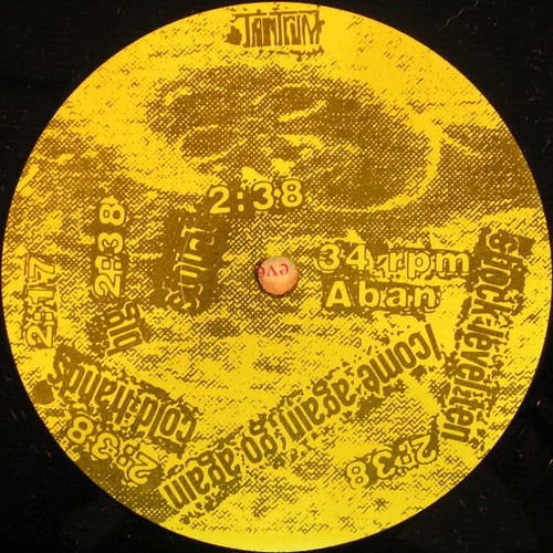 Hollow Heyday / Abandoned / Vinyl / Punk/Mod/Powerpop / Wutanfall Schallplatten / USA - Bild 3 von 3