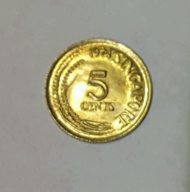Foto 7 di 8