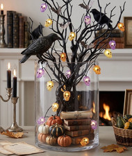 Pier 1 Halloween Orange / Purple Skeletons LED Glimmer Strings Lights 10ft New