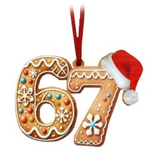 2D Funny Teen Slang Christmas Ornament 6 7 meme Gift Christmas Ornament