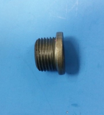 O2 Oxygen Plug Sensor Block off Universal M18 x 1.5 | eBay