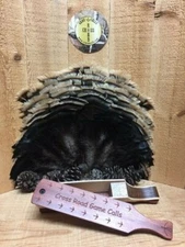  Power House Hen -Paddle Box Call Bloodwood and Sycamore This Box Does it All !!