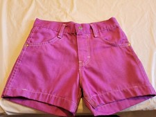Vintage 1980's Sears toughskins Growing Girl purple Shorts 12 Flintstones dino