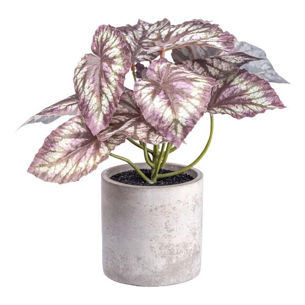 artplants KüNstliche Blattbegonie Gruhil Im Zementtopf, GrüN-Lila, 22Cm-image