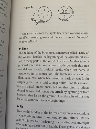 Everyday Magic: Spells & Rituals for Modern Living [Dorothy Morrison's Everyday - Picture 2 of 3