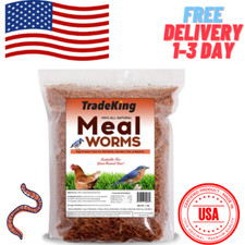 1 lb Dried Mealworms - High Protein Treat for Wild Birds, Chicken, Fish