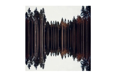 Fotokunst/ Fine Art - digitale Collage - ''Woods'' - 50x50cm -  limitiert