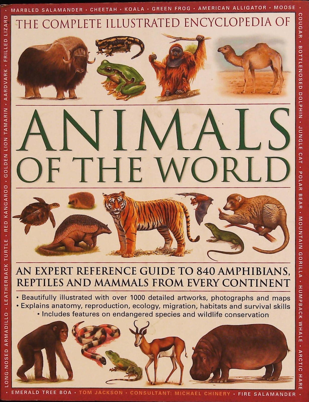 Encyclopedia of Animals - 840 Reptiles Amphibians Reptiles and Mammals New