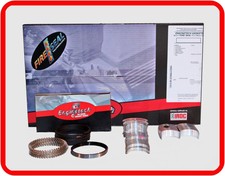 1968-1983 Ford 302 5.0L OHV V8  Gasket Set, Rings, Bearings Re-Ring Kit