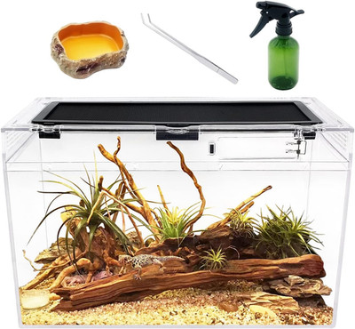 Reptile Terrarium,16'' X 8''X 10'' Reptile Tank with Full View Visually Appealing，F