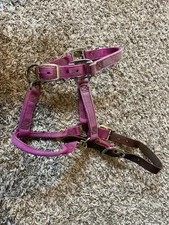Small Horse Sized Weaver Leather Nylon Breakaway Halter fuchsia pink￼